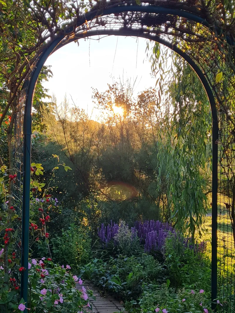 Voedselbos Welcome Home in Baexem - afbeelding 2