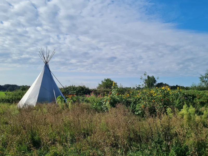 Voedselbos Welcome Home in Baexem - afbeelding 3